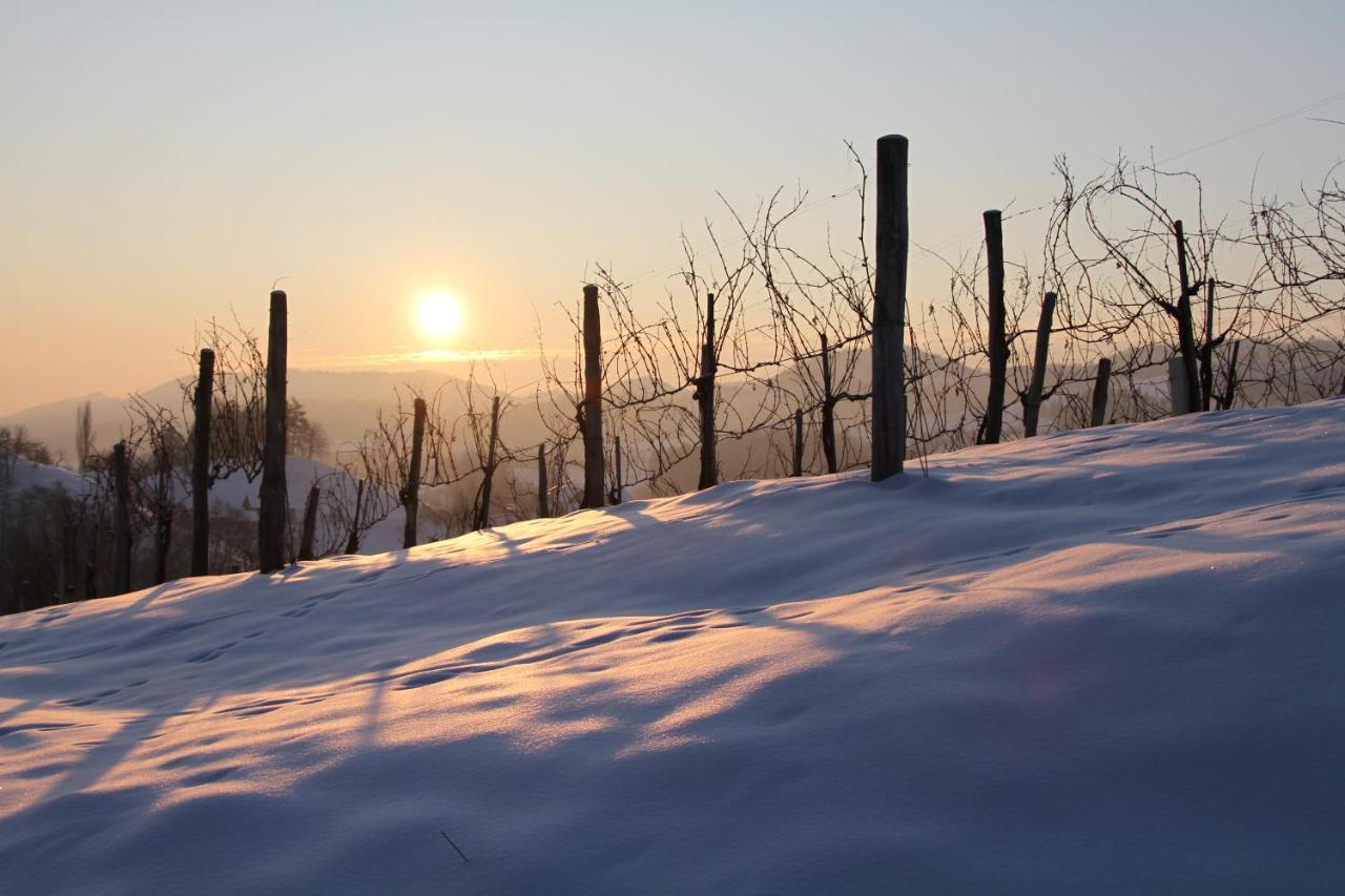 Hotel Staribacher Suedsteiermark ไลบ์นิทซ์ ภายนอก รูปภาพ